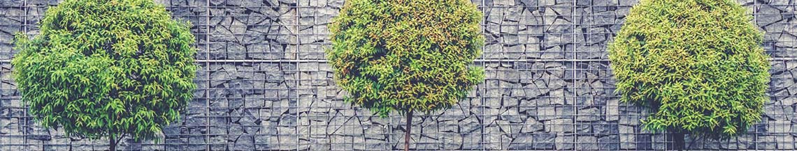 Environnement