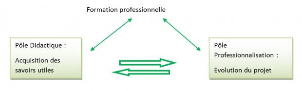 Formation professionnelle - Pôle Didactique - Pôle Professionnalisation